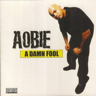 Aobie - A Damn Fool