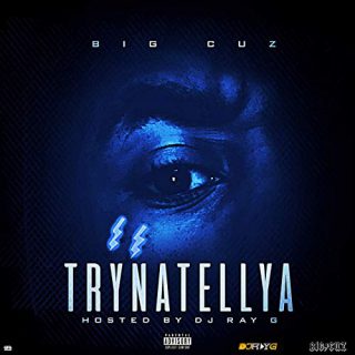 Big Cuz & DJ Ray G - Trynatellya