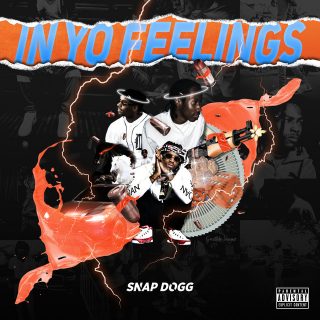 Snap Dogg - In Yo Feelings